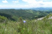 Pedra do Forno, passeio realizado pela na trilha das cachoeiras das bromélias, roteiro realizado pela Mantiqueira Ecoturismo, agência de turismo que realiza passeios, trilhas e caminhadas em Gonçalves Mg na Serra da Mantiqueira