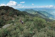 Caminhada na crista da serra da Pedra Bonita em Gonçalves MG. Roteiro realizado pela Mantiqueira Ecoturismo, agência de turismo que realiza passeios, trilhas e caminhadas em Gonçalves Mg na Serra da Mantiqueira