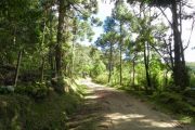 Roteiro realizado pela Mantiqueira Ecoturismo, agência de turismo que realiza passeios, trilhas e caminhadas em Gonçalves Mg na Serra da Mantiqueira