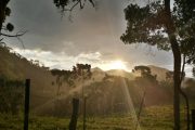 Sol contrastando com a garoa na trilha da Casca Grossa em Gonçalves MG. Roteiro realizado pela Mantiqueira Ecoturismo, agência de turismo que realiza passeios, trilhas e caminhadas em Gonçalves Mg na Serra da Mantiqueira