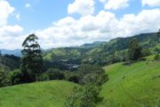 Vista pelos caminhos percorridos, no roteiro da Pedra de São Domingos saindo de Gonçalves MG. Passeio realizado pela Mantiqueira Ecoturismo, agência de turismo que realiza passeios, trilhas e caminhadas em Gonçalves Mg na Serra da Mantiqueira