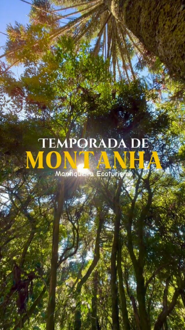 Imagine o ar puro, o canto dos pássaros e paisagens de tirar o fôlego... 🍃 Descubra a magia da nossa temporada de montanha e RECONECTE-SE com a natureza. Quer saber o que te espera? Venha conosco para trilhas, passeios de 4x4 e observação da natureza em detalhes!
MANTIQUEIRA ECOTURISMO 🥾 
VIVA A SUA NATUREZA! 🌱 
.
.
#ecoturismo #oquefazeremgonçalves #turismoemgonçalves #MontanhaMagica #NaturezaIncrível #PazNaMontanha #DescubraMinas #EcoturismoBrasil
