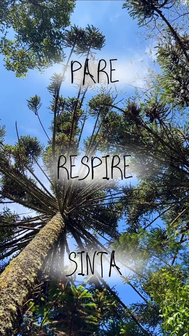 Sabe aquele momento em que você precisa se desconectar e recarregar as energias? 🍃✨ Nossos passeios na natureza são um convite para você #PARE, #RESPIRE e #SINTA a verdadeira essência da vida. Deixe a natureza te abraçar. 💚
.
.
#turismoemgonçalves #oquefazeremgonçalves #ecoturismo
